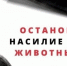Жестокое обращение с животными не допустимо!. - Изобильненский городской округ