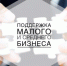 На 21% за год выросло число субъектов МСП на Ставрополье. - Изобильненский городской округ